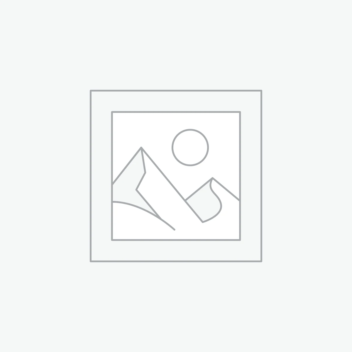 MeatGo Chicken Slice 400 G